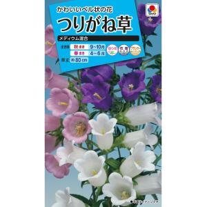 花種　NL150 つりがね草　メディウム混合　小袋 [FTU350]【花の種】【タキイのタネ】【ガーデニング】
