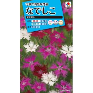 花種　NL150 なでしこ 河原混合 小袋 [FND140]【花の種】【タキイのタネ】【ガーデニング】