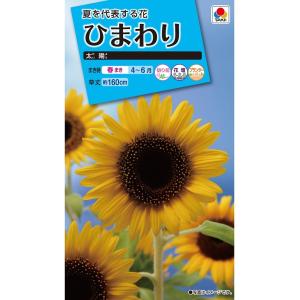 花種　NL150 　ひまわり　太陽　小袋 [FHM116]【花の種】【タキイのタネ】【ガーデニング】