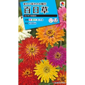 花種 NL150 百日草 カクタス咲混合 小袋 ...の商品画像