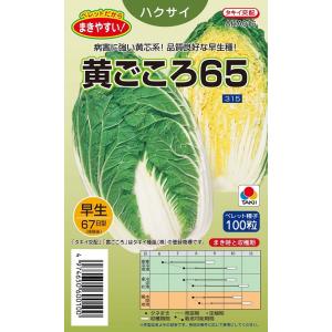 SK9-099 ブロッコリー種子 ペレット5000粒 【野菜種子】【サカタのタネ