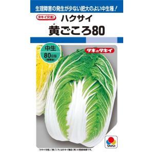 ハクサイ　黄ごころ80　1ml　【タキイ種苗】【黄芯白菜の種】【野菜種子】