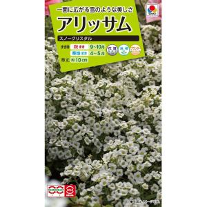 花種　NL200 アリッサム スノークリスタル 小袋 [FAR121]【タキイのタネ】【ガーデニング...