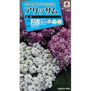 花種　NL150 アリッサム混合　小袋 [FAR129]【花の種】【タキイのタネ】【ガーデニング】