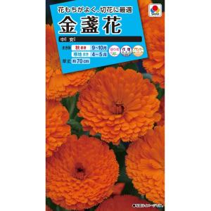 花種　NL150 金盞花 中安 小袋 [FKN141]【花の種】【タキイのタネ】【ガーデニング】