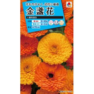 花種 NL150 金盞花 八重咲混合 小袋 [FKN050]【花の種】【タキイのタネ】【ガーデニング】