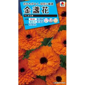 花種 NL150 金盞花 やしま芯黒 小袋 [FKN121]【花の種】【タキイのタネ】【ガーデニング】