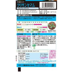 花種 NL150 クリサンセマム パルドサム ...の詳細画像1