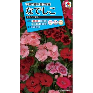 花種　NL150 なでしこ 新みかど混合 小袋 [FND110]【花の種】【タキイのタネ】【ガーデニング】