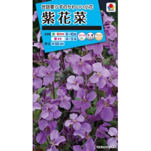 花種　NL150 紫花菜 小袋 [FZZ383]【花の種】【タキイのタネ】【ガーデニング】