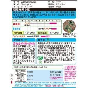 花種 NL150 ルピナス 傘咲ルピナス 小袋...の詳細画像1