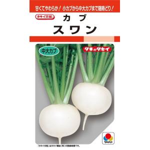 SK9-099 ブロッコリー種子 ペレット5000粒 【野菜種子】【サカタのタネ