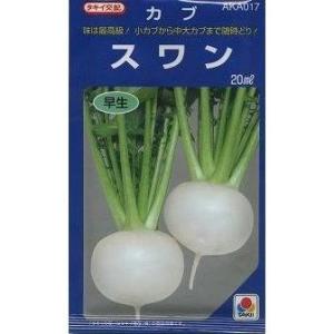 SK9-099 ブロッコリー種子 ペレット5000粒 【野菜種子】【サカタのタネ