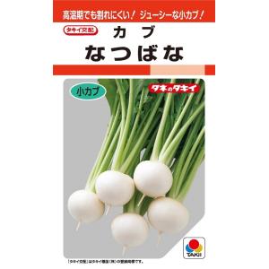 SK9-099 ブロッコリー種子 ペレット5000粒 【野菜種子】【サカタのタネ