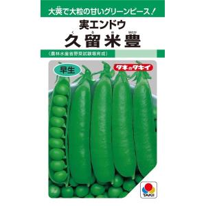 アーリーファイブ 1000粒 オクラ種子【野菜種子】【タキイ種苗