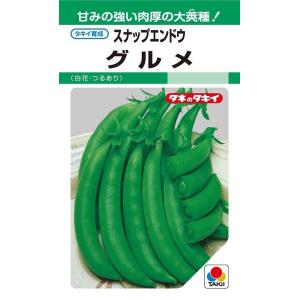 SK9-099 ブロッコリー種子 ペレット5000粒 【野菜種子】【サカタのタネ