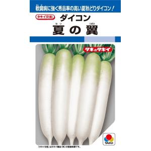 種子 アカクローバー （赤クローバー 品種名 KSRC1） お徳用500g袋