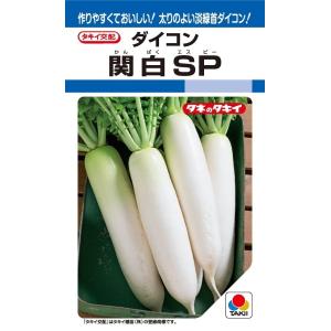 大根種子　関白SP　2DLP　【タキイ種苗】【野菜種子】