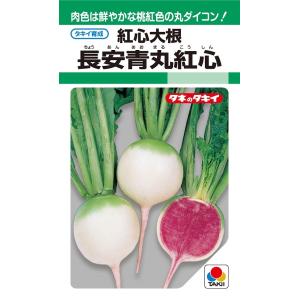 おはよう ブロッコリー種子 5000粒 【野菜種子】 【サカタのタネ