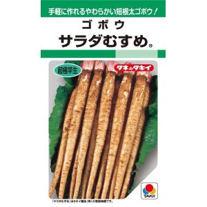 野菜の種/種子 早春収穫！超極早生玉葱！トップゴールド305・タマネギ