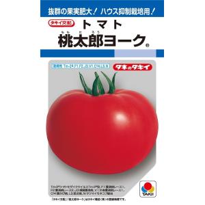 桃太郎ヨーク　大玉トマト種子　18粒　【トマト種】【タキイのタネ】【野菜の種】