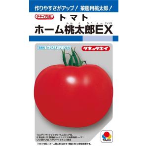 ホーム桃太郎EX　トマト　29粒　【トマト種】【タキイのタネ】【野菜の種】