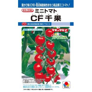 SK9-099 ブロッコリー種子 ペレット5000粒 【野菜種子】【サカタのタネ