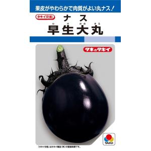 早生大丸　80粒　丸なす種子　【ナス種】【タキイのタネ】【野菜の種】