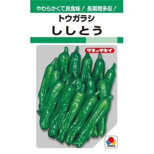 ししとう　135粒　【トウガラシ種】【タキイのタネ】【野菜の種】