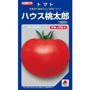 ハウス桃太郎　大玉トマト種子　1000粒　【トマト種】【タキイのタネ】【野菜の種】