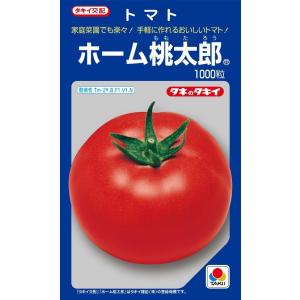 ホーム桃太郎　トマト　1000粒　【トマト種】【タキイのタネ】【野菜の種】