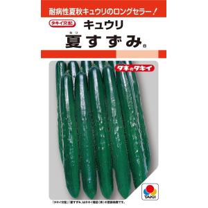 SK9-099 ブロッコリー種子 ペレット5000粒 【野菜種子】【サカタのタネ