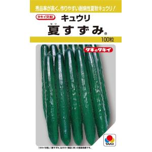 SK9-099 ブロッコリー種子 ペレット5000粒 【野菜種子】【サカタのタネ