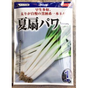 夏扇パワー ペレット6000粒【根深ネギ種】【サカタのタネ】【野菜の種