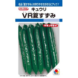SK9-099 ブロッコリー種子 ペレット5000粒 【野菜種子】【サカタのタネ