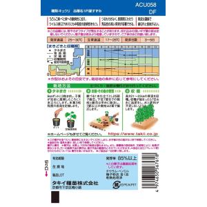 VR夏すずみ キュウリ 13粒 【タキイのタネ...の詳細画像1