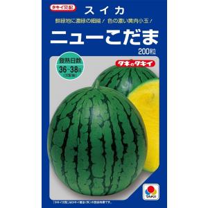 SK9-099 ブロッコリー種子 ペレット5000粒 【野菜種子】【サカタのタネ