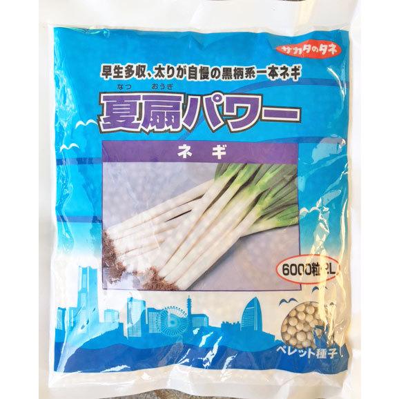 夏扇パワー　ペレット6000粒【根深ネギ種】【サカタのタネ】【野菜の種】