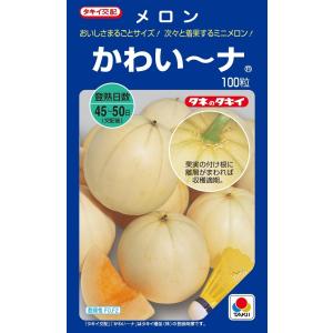 おはよう ブロッコリー種子 5000粒 【野菜種子】 【サカタのタネ