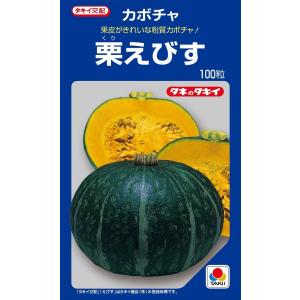 SK9-099 ブロッコリー種子 2000粒 【野菜種子】【サカタのタネ