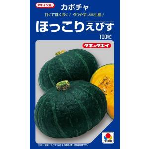 タキイ交配 カボチャ えびす 500粒 えびす 500粒 カボチャ種子 【南瓜の種】【タキイのタネ】【野菜の種