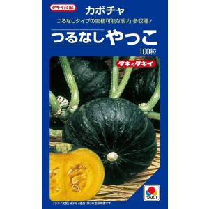 じゃがいも種芋 グラウンドペチカ芋（デストロイヤー） 500g サイズ