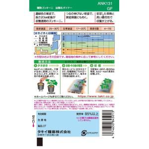 ズッキーニ ダイナーEX 10粒 一代交配ズッ...の詳細画像1