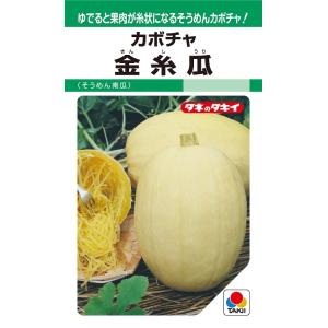 えびす 500粒 カボチャ種子 【南瓜の種】【タキイのタネ】【野菜の種