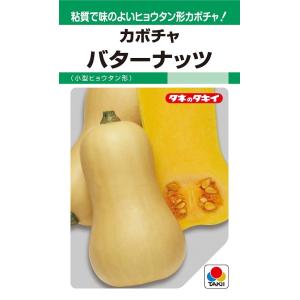 えびす 500粒 カボチャ種子 【南瓜の種】【タキイのタネ】【野菜の種