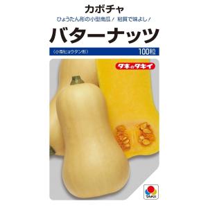 えびす 500粒 カボチャ種子 【南瓜の種】【タキイのタネ】【野菜の種