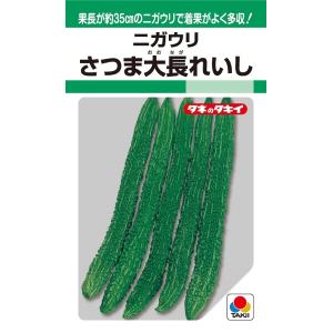 ゴーヤ種子　さつま大長れいし　5ml　ニガウリ【タキイのタネ】【野菜の種】