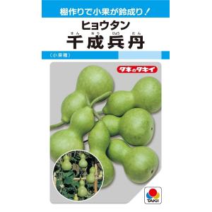 千成兵丹　36粒　ヒョウタン【タキイのタネ】【野菜の種】