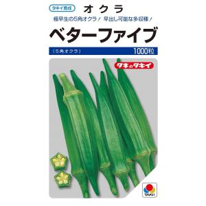 SK9-099 ブロッコリー種子 2000粒 【野菜種子】【サカタのタネ