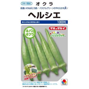 SK9-099 ブロッコリー種子 2000粒 【野菜種子】【サカタのタネ
